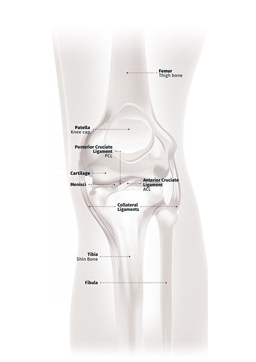 人工膝関節置換術 人工ひざ関節置換術とは｜人工ひざ関節について｜人工関節ドットコム