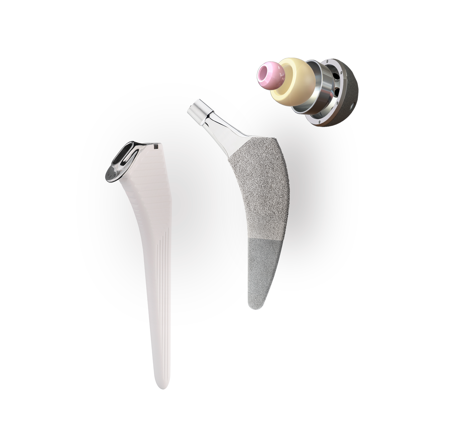 股関節 / HIP 04 03 HA Preserve Dual Mobility 1