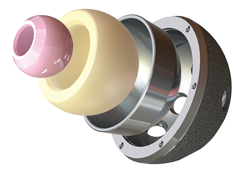 Dynasty® Dual Mobility® 04 13 Dynasty Dual Mobility 1