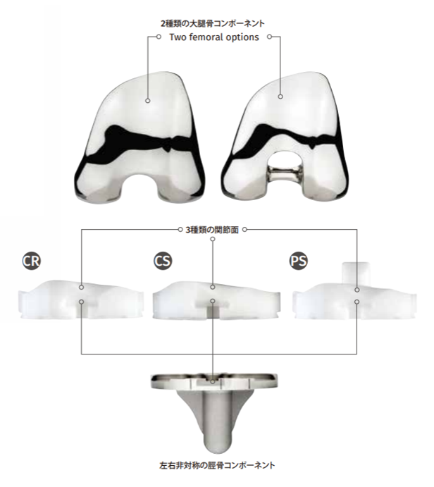 Evolution® Primary Total Knee Systems Evolution 01 1