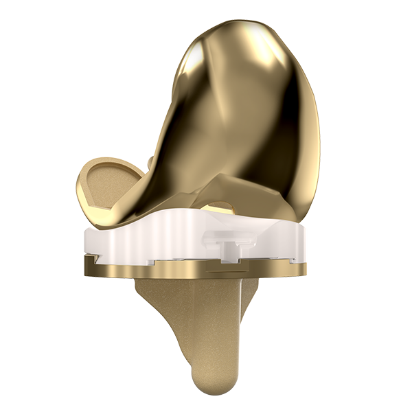 Evolution® NitrX™ Knee System Nitr X 01 1